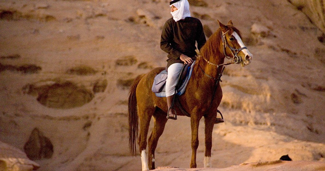 Horse Riding