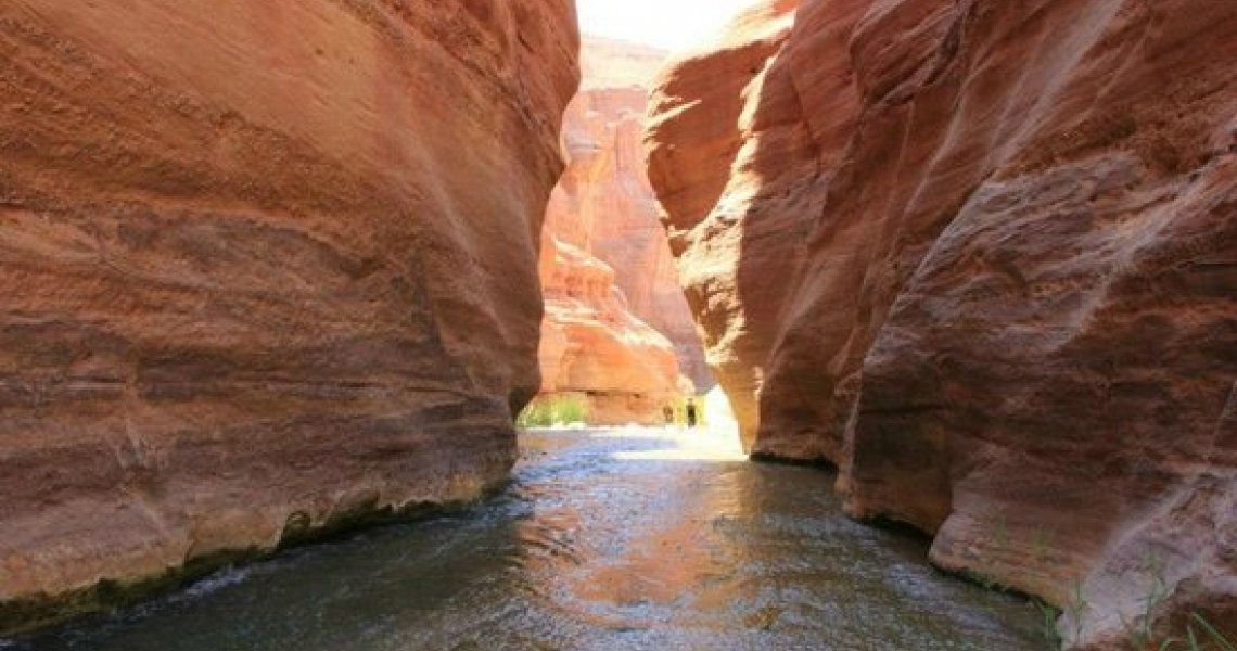 Natural Reserve