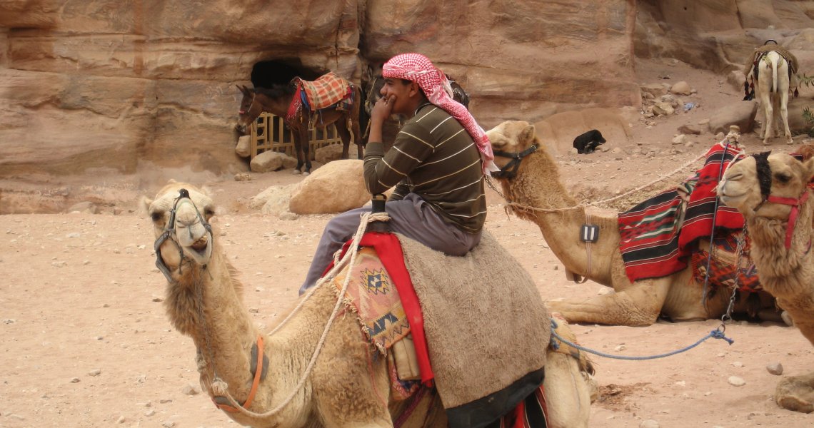 Focus on Petra
