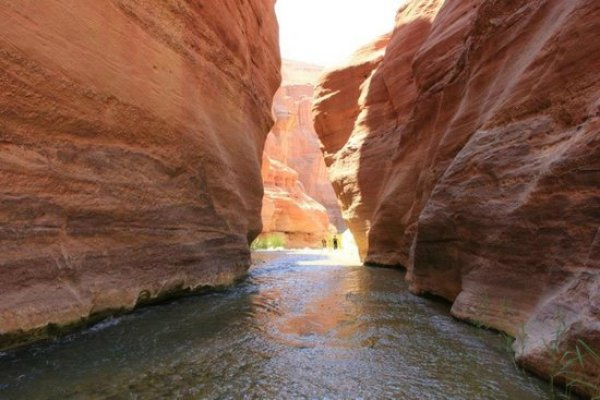 Natural Reserve 