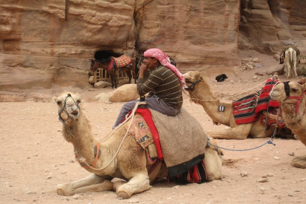 Focus on Petra